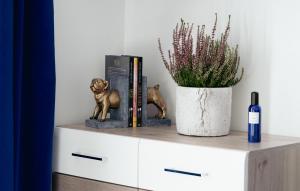 ein Regal mit zwei Büchern und einer Topfpflanze in der Unterkunft Pension Engel in Grifte