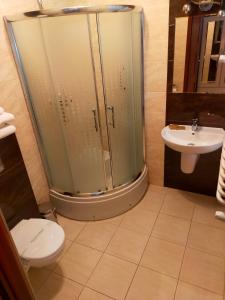 La salle de bains est pourvue d'une douche, de toilettes et d'un lavabo. dans l'établissement Pensjonat Wrzos, à Poznań