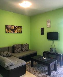 een woonkamer met een bank en een tv bij Vila Vedrana Apartman Nedeljkovic in Brzeće