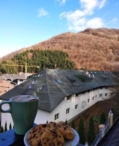 een kopje koffie en koekjes op een tafel met een huis bij Vila Vedrana Apartman Nedeljkovic in Brzeće