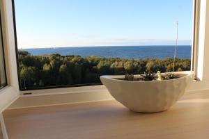 a plant in a white bowl in front of a window at Baltic Sunset Apartments in Sillamäe