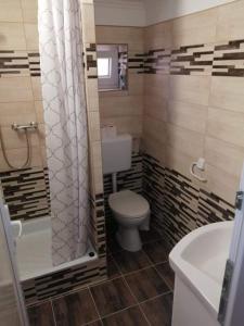 een badkamer met een toilet, een douche en een wastafel bij HORVÁTH VENDÉGHÁZ in Nagykanizsa