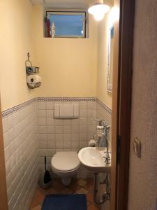 a bathroom with a toilet and a sink at Ferienwohnung Sonnenläng in Hechenberg