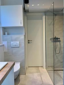 a bathroom with a toilet and a glass shower at Old Town Apartment Székesfehérvár in Székesfehérvár