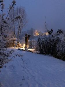 Photo de la galerie de l'établissement Camping-Hotel de Plein Air Les 2 Bois, à Baratier