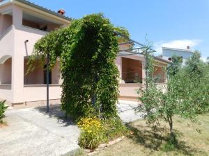a large green bush in front of a house at Soline - Emozione in Vinkuran