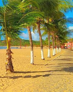a row of palm trees on a sandy beach at Japaratinga Suites in Japaratinga