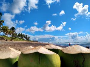 a group of plants on a beach with the ocean at Pousada Praia do Flamengo Suítes in Salvador