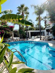 a large swimming pool with palm trees in a resort at Minoa Apartments in Amoudara Herakliou