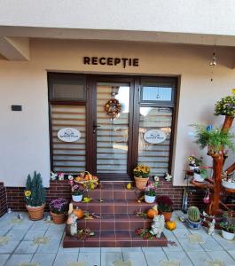 uma porta da frente de uma casa com abóboras e plantas em Splendid House em Făgăraş