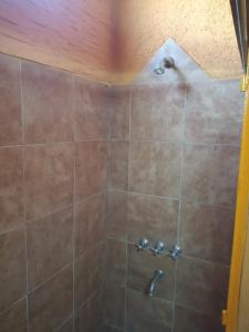 een badkamer met een douche met bruine tegels bij El Gringo Tito in La Falda