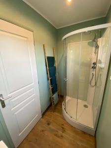 ein Bad mit einer Dusche und einer Glastür in der Unterkunft Studio 41 in Eppeville