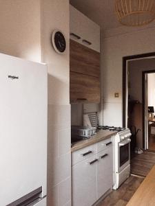 Dapur atau dapur kecil di AJ - tér apartman miskolc