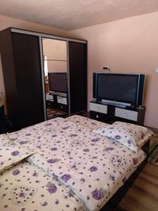 a bedroom with a bed and a flat screen tv at Casa din Poiană in Hănăşeşti +36 photos
