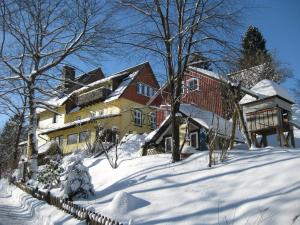 een huis is bedekt met sneeuw in een tuin bij Altes Forsthaus Fischbach in Sankt Andreasberg