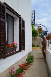 Fotografie z fotogalerie ubytování Apartments Drita v destinaci Baška