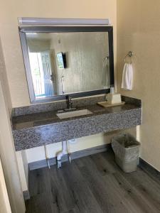 ein Badezimmer mit einem Waschbecken und einem großen Spiegel in der Unterkunft Green Garden Inn in Greensboro