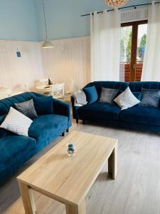 a living room with a blue couch and a coffee table at Apartament Marina in Dziwnówek