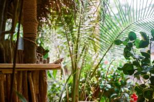 a bird sitting on a wooden fence in a garden at Nature Rex Hostel in Weligama