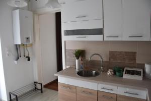 Kuchyňa alebo kuchynka v ubytovaní Malomszeg Apartman 3