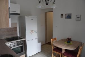 Kuchyňa alebo kuchynka v ubytovaní Malomszeg Apartman 3