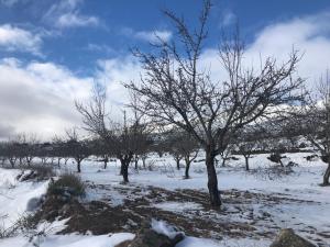 Fotografia z galérie ubytovania La Bodega de Lola v destinácii Alcublas