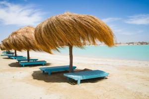 a row of blue benches on a beach with an umbrella at Green Sudr Resort in Ras Sedr