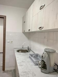 uma cozinha com um lavatório e uma mesa de mistura num balcão em Apartman SelmaM em Sarajevo