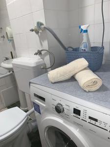 uma máquina de lavar roupa na casa de banho com WC em Apartman SelmaM em Sarajevo