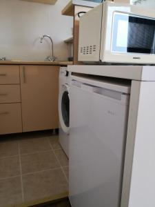 a microwave and a washer and dryer in a kitchen at STUDIO Piata Victoriei (Victoriei Square) in Bucharest