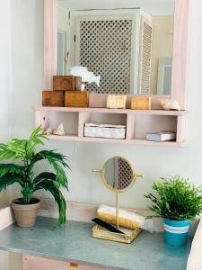 KleinsteinbachLandhaus - Villa Nisa 1895的浴室设有粉红色的架子和镜子