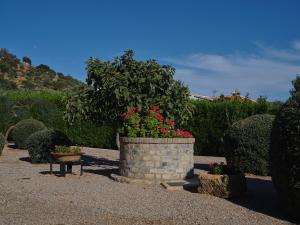 Vonkajšia záhrada v ubytovaní VILLA BASILIO