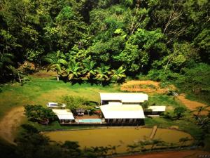 una vista aérea de un complejo con piscina y árboles en Espetacular sítio com belíssima paisagem para descansar, en Cobras