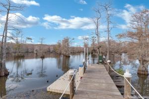 a wooden walkway over a lake with trees at Lakefront Fully Loaded Apartment in Shreveport