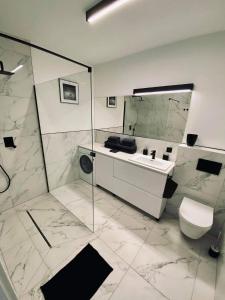 a bathroom with a shower and a sink and a toilet at Apartamenty Pod Żaglami in Zegrze