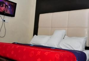 a bed in a room with a tv and white pillows at Room in Lodge - Eaglespark1960 Hotel - Standard in Ikeja