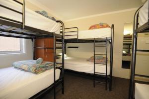 two bunk beds in a small room at Kangaroo Inn in Perth