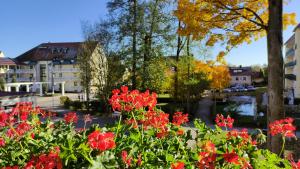 een tuin met rode bloemen voor een meer bij Pension Schneider, Ferienwohnung in Bad Gögging