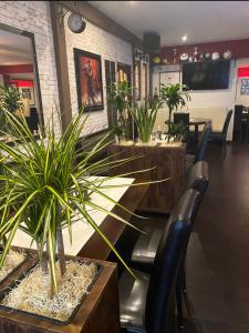 Φωτογραφία από το άλμπουμ του Hotel Diele σε Detmold