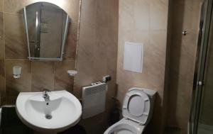 a bathroom with a sink and a toilet and a mirror at Dobi's Apartment Elit47 at Elit Pamporovo in Pamporovo +18 photos