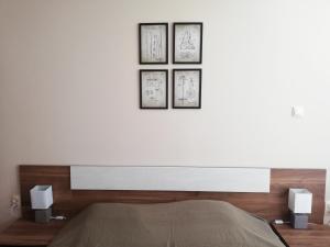 Llit o llits en una habitació de Dobi's Apartment Elit47 at Elit Pamporovo