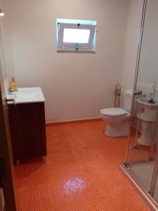 a bathroom with a toilet and a sink and a window at Cantinho Cruzeiro in Vieira do Minho +28 photos