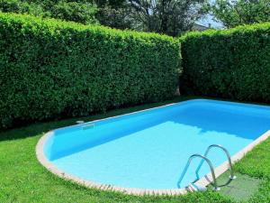een blauw zwembad voor een heg bij Holiday Home Candida - CCO900 by Interhome in Delebio