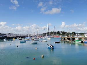 a bunch of boats are docked in a harbor at Holiday Home la Voile by Interhome in La Trinité-sur-Mer