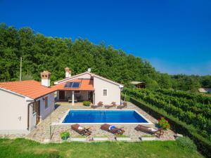 a villa with a swimming pool in a vineyard at Holiday Home Villa Mihael - ROJ540 by Interhome in Žminj
