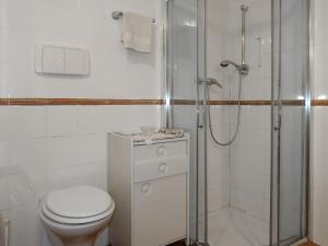 Kúpeľňa v ubytovaní Apartment Maso Marini - Appartamento Capriolo by Interhome