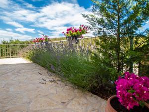 Zahrada ubytování Holiday Home Dalmacia by Interhome
