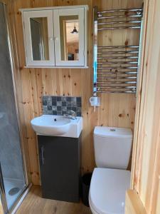 a bathroom with a toilet and a sink and a mirror at Remarkable Shepherds Hut in a Beautiful Location in Perth