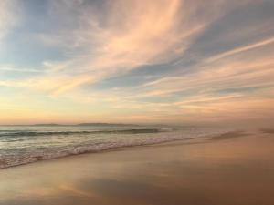 a beach with a cloudy sky and the ocean at Lovely 2-bedroom apartment- Comporta in Carvalhal +7 photos