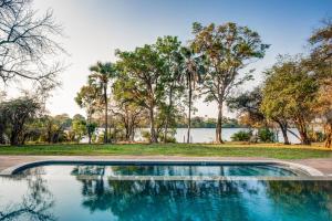 a swimming pool next to a lake with palm trees at Palm River Hotel in Victoria Falls